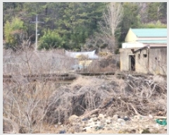  2025Ÿ��50893  ���������