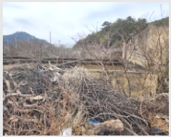  2025Ÿ��50893  ���������