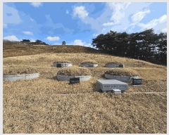  2025Ÿ51025  ʱ ô  729      (1)