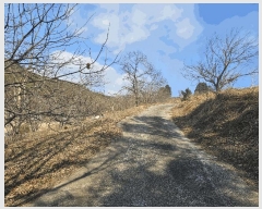  2025Ÿ51025  ʱ ô  729      (1)