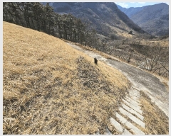  2025Ÿ51025  ʱ ô  729      (1)