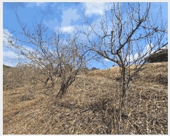  2025Ÿ51025  ʱ ô  729      (1)