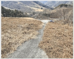  2025Ÿ51025  ʱ ô  729      (1)