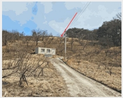  2025Ÿ51025  ʱ ô  729      (1)