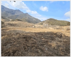  2025Ÿ51025  ʱ ô  729      (1)