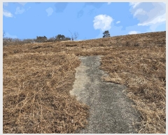  2025Ÿ51025  ʱ ô  729      (1)