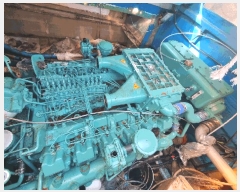  2025Ÿ51137  ڰ