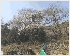  2025Ÿ51173    578-2       ()