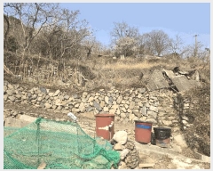  2025Ÿ51173    578-2       ()