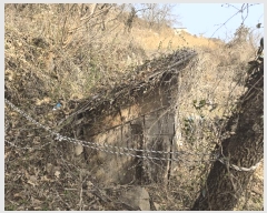  2025Ÿ51173    578-2       ()