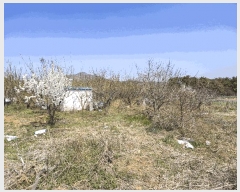  2025Ÿ51227   Ȳ浿 614-1       ()