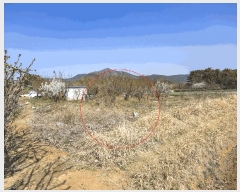  2025Ÿ51227   Ȳ浿 614-1       ()