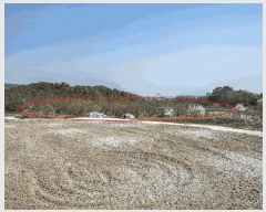  2025Ÿ51227   Ȳ浿 614-1       ()