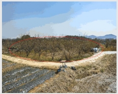  2025Ÿ51227   Ȳ浿 614-1       ()