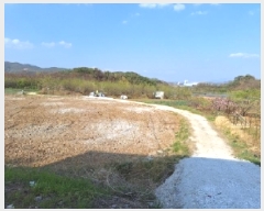  2025Ÿ51227   Ȳ浿 614-1       ()