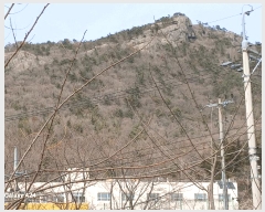  2025Ÿ��51233  �Ӿ߰��