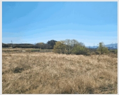  2025Ÿ��51251  ����