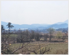  2025Ÿ��51251  ����