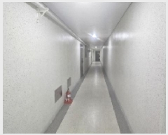  2025Ÿ��51257  ���ǽ��ڰ��