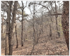  2025Ÿ51263  õ  138       (Ӿ)