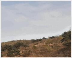  2025Ÿ51263  õ  138       (Ӿ)