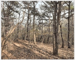  2025Ÿ51263  õ  138       (Ӿ)