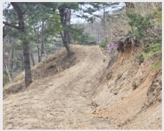  2025Ÿ51263  õ  138       (Ӿ)