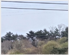  2025Ÿ51263  õ  138       (Ӿ)