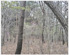  2025Ÿ51263  õ  138       (Ӿ)