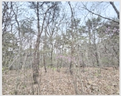  2025Ÿ51263  õ  138       (Ӿ)