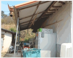  2025Ÿ��51269  ���ð��