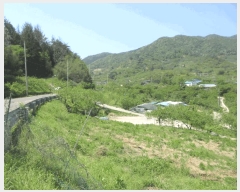  2025Ÿ51312   پи ſ 1091      ()