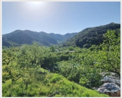  2025Ÿ51312   پи ſ 1091      ()