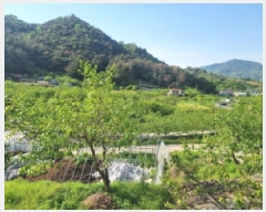  2025Ÿ51312   پи ſ 1091      ()