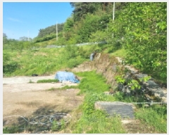  2025Ÿ51312   پи ſ 1091      ()