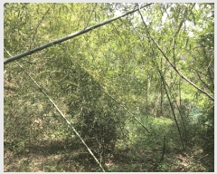  2025Ÿ51324  õ ط 󳻸 109      (1)