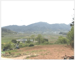  2025Ÿ51324  õ ط 󳻸 109      (1)