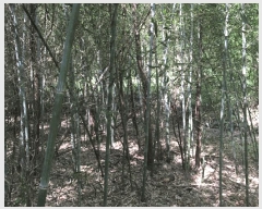  2025Ÿ51324  õ ط 󳻸 109      (1)