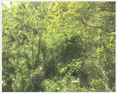  2025Ÿ51324  õ ط 󳻸 109      (1)