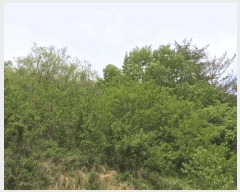  2025Ÿ51324  õ ط 󳻸 109      (1)