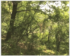  2025Ÿ51324  õ ط 󳻸 109      (1)