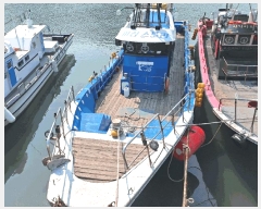  2025Ÿ51378   ȣȣ        ڰ