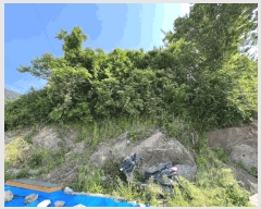  2025Ÿ51392    縮 991-3      ܵ,ð