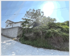  2025Ÿ51392    縮 991-3      ܵ,ð