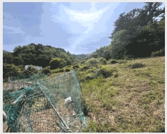  2025Ÿ51392    縮 991-3      ܵ,ð