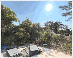  2025Ÿ51392    縮 991-3      ܵ,ð