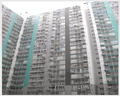  2025Ÿ51426   ߵ 1665 ȣ2Ʈ 205 232309ȣ    Ʈ