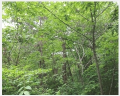  2025Ÿ51438   ȭ ̸ 651-1      (Ӿ)