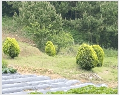  2025Ÿ51438   ȭ ̸ 651-1      (Ӿ)