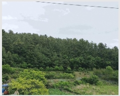  2025Ÿ51438   ȭ ̸ 651-1      (Ӿ)